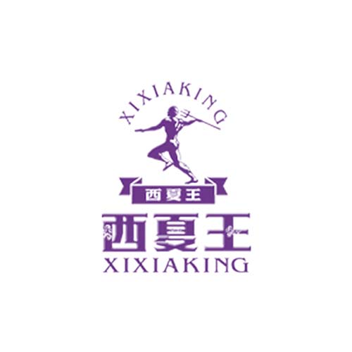 西夏王