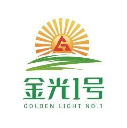 金光一號